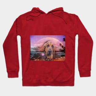 Bloodhound Dog Beach Hoodie